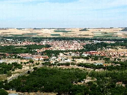 Panoramablick auf Tudela de Duero mit Gebäuden und Feldern.