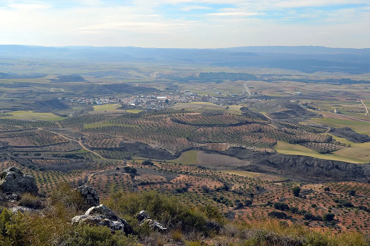 Landscape with fields and olive groves seen from a hill in Villalba del Rey.