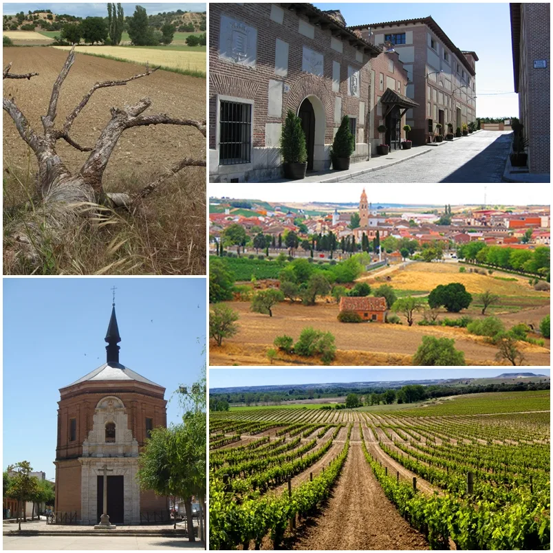 Weinberge und Gebäude in Rueda, Valladolid.