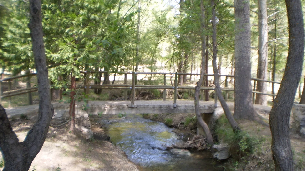 Pequeño río con puente de madera en un entorno de árboles en Las Santas, Huéscar.