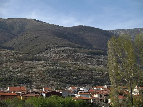 Blick auf Jerte mit blühenden Bäumen und Häusern im Vordergrund.