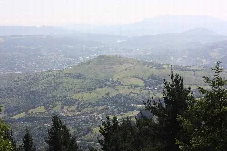 View of a hill with trees and green landscape in Arrigorriaga.