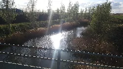 Puente sobre el río Valderaduey con vegetación y reflejo en el agua.