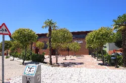 Sports facilities with palms and trees in Calera y Chozas.