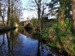 Steinbrücke über den Fluss in Alfoz, Lugo, umgeben von Bäumen und Pflanzen.