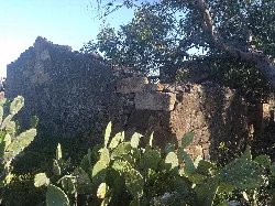 Stone ruins with cacti in the foreground.