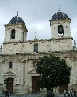 Fachada de la colegiata con dos torres y un árbol en primer plano.