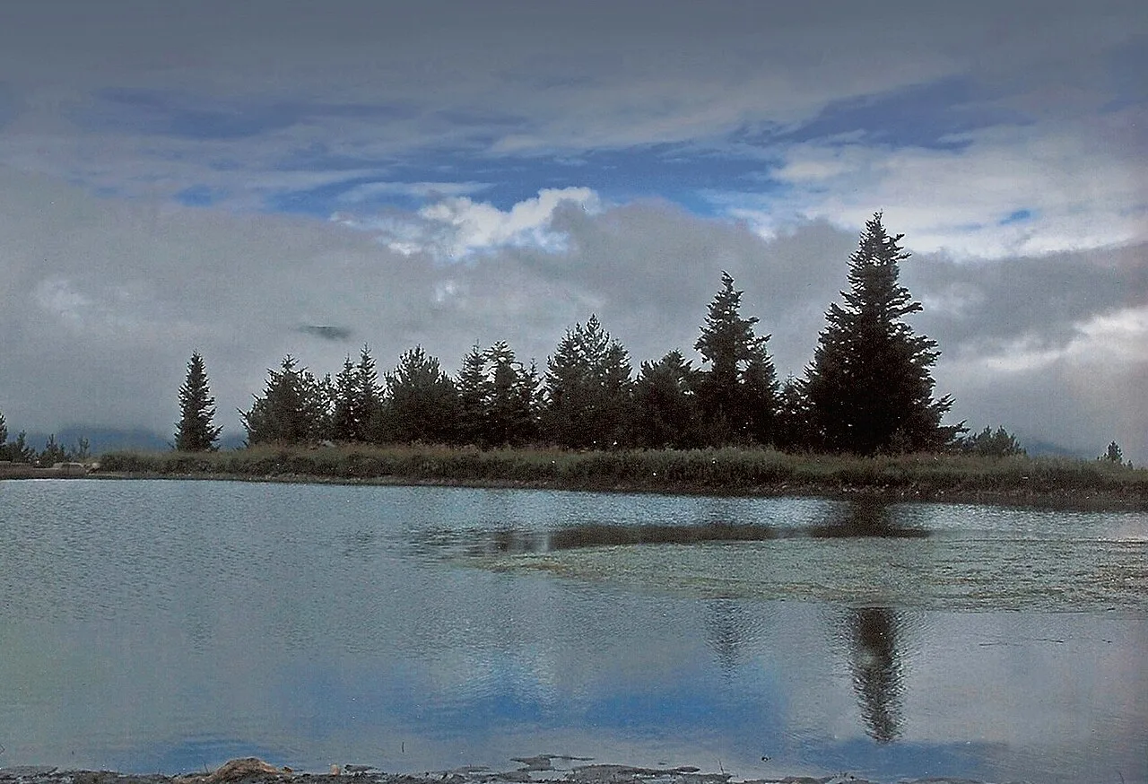 This is a a photo of a natural area in Catalonia, Spain, with id: