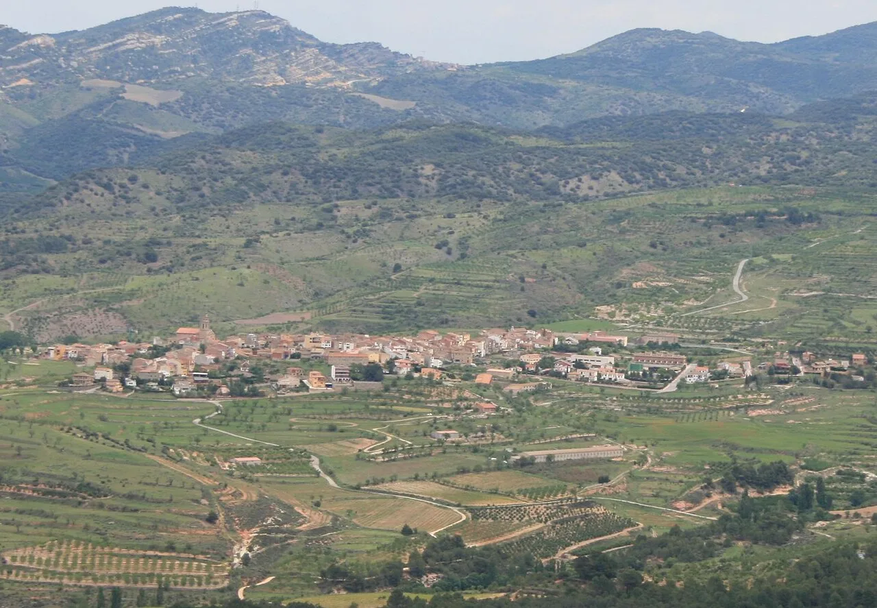Landscape with town, mountains, and green fields