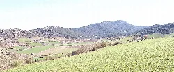 Landscape with hills and green fields in Herrera de los Navarros.