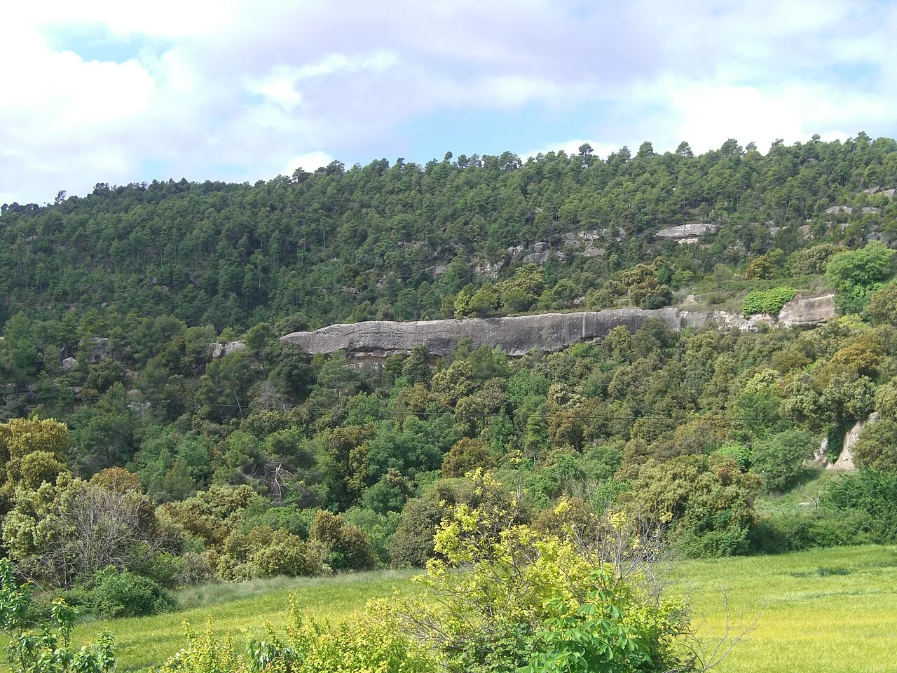 This is a photo of a monument listed in the Catalan heritage register of Béns Culturals d'Interès Nacional and the Spanish heritage register of Bienes de Interés Cultural under the reference RI-51-0005779.