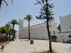 White church with towers and palm trees in Conil de la Frontera.