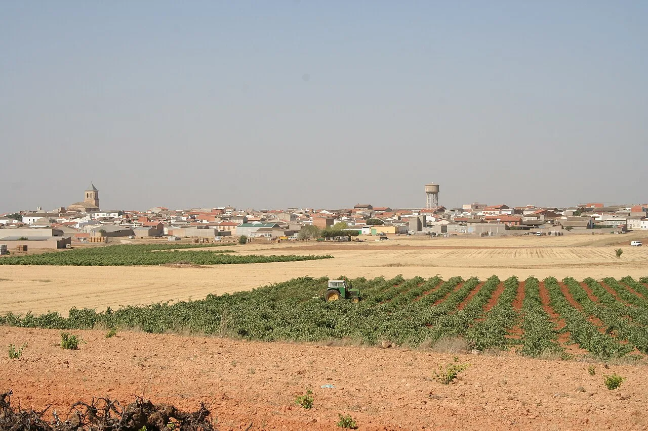 Rural landscape with fields and town on the horizon.