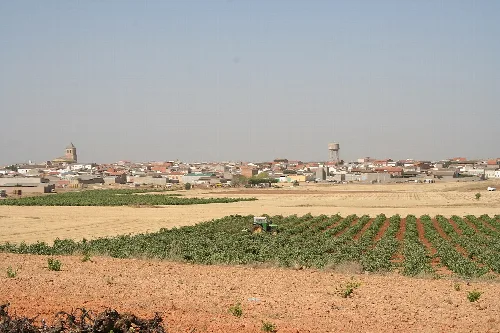 Ländliche Landschaft mit Feldern und Stadt am Horizont.