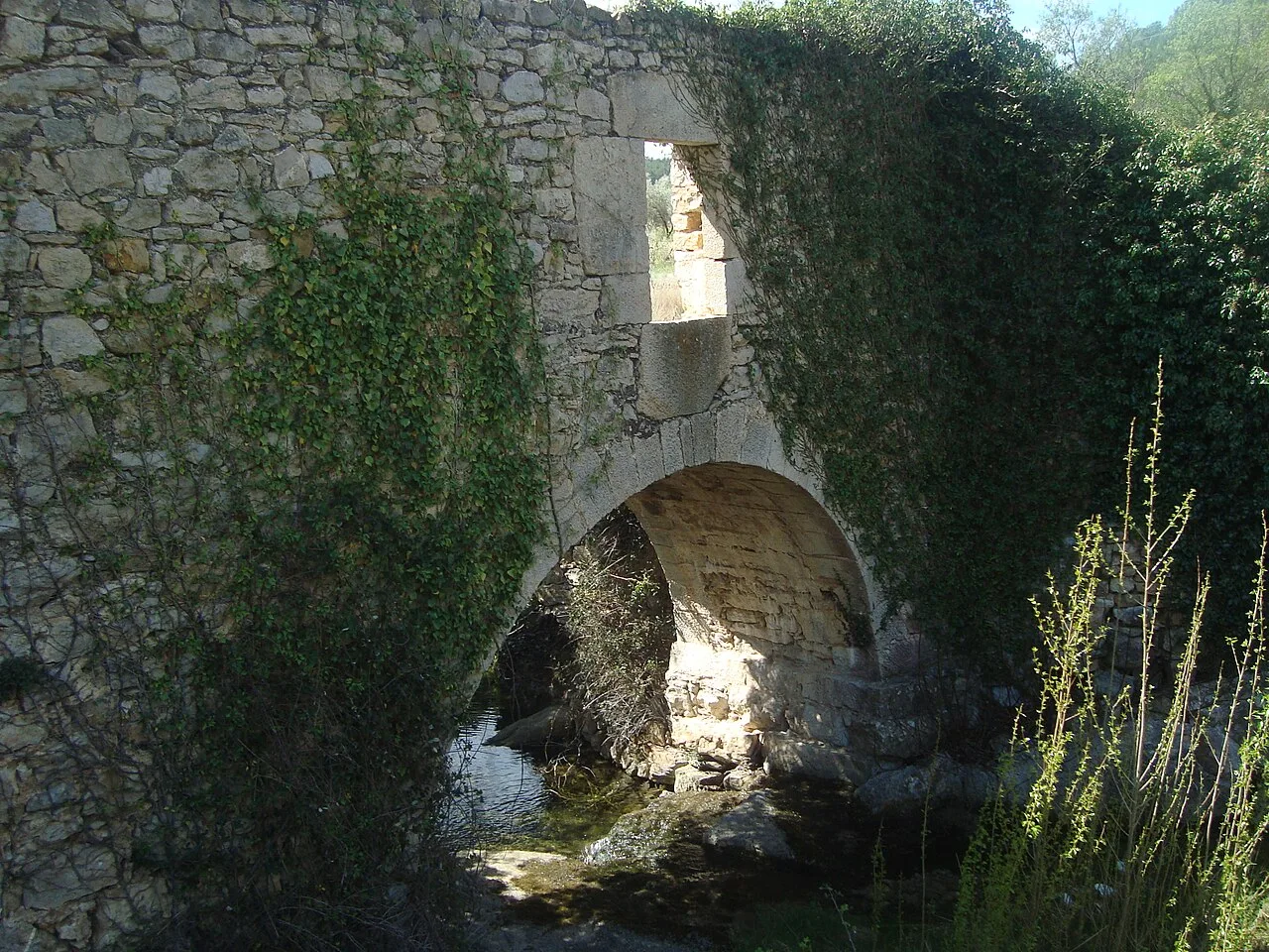 Puente de piedra medieval sobre un barranco con vegetación.