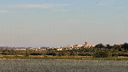 Vista del horizonte de El Carpio con torre y campos verdes.