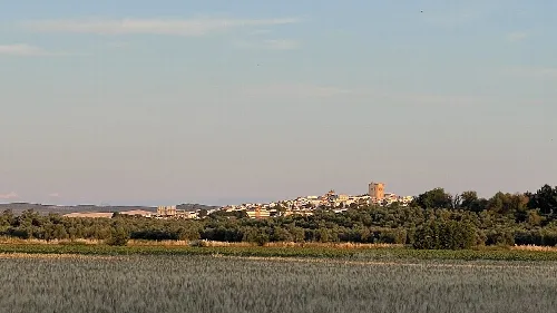 Blick auf die Skyline von El Carpio mit Turm und grünen Feldern.