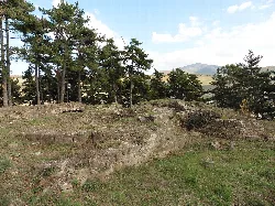 Steinruinen auf einem Hügel mit Bäumen und Bergen.
