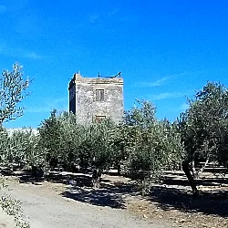 Steinturm zwischen Bäumen und blauem Himmel.