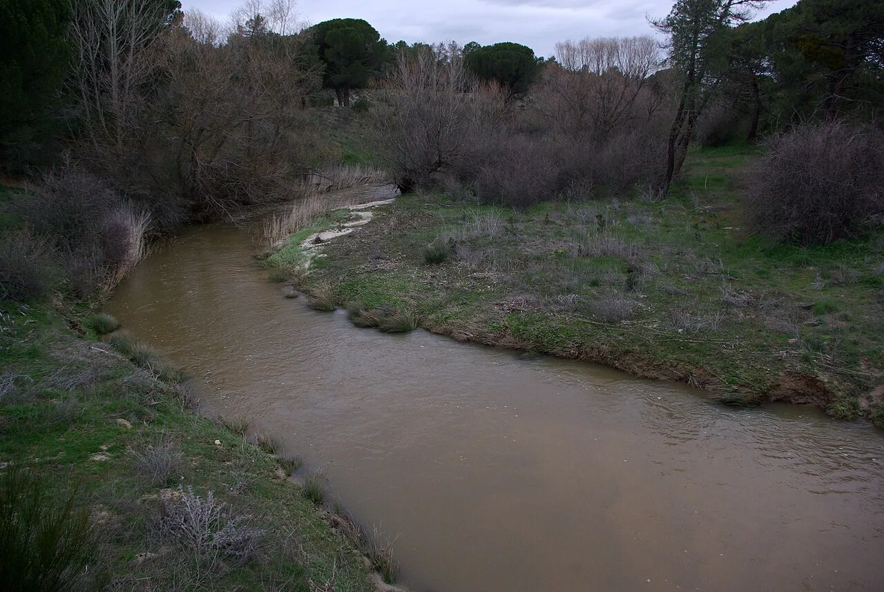 River Arevalillo near Nava de Arévalo (Ávila, 
Spain)