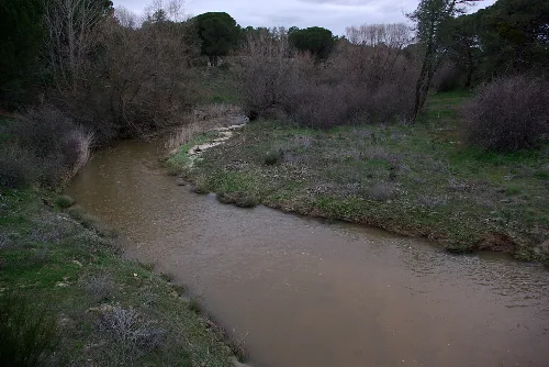 River Arevalillo near Nava de Arévalo (Ávila, 
Spain)