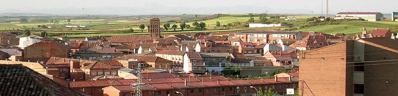 Vista panorámica de Sahagún desde las alturas.