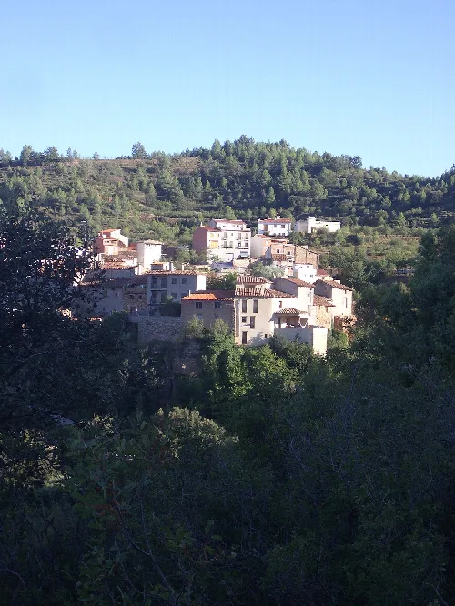 Houses on the hillside with greenery in the foreground, village on the hill.