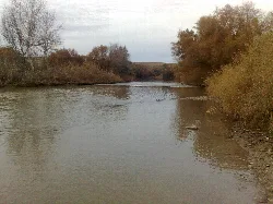 Genil-Fluss mit Bäumen und Vegetation an den Ufern.