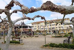 Cortes' Plaza Mayor with trees, benches, and a bandstand in Navarra.
