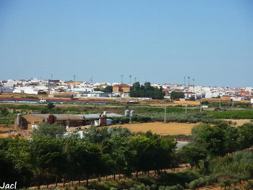 Landscape with white houses and green fields in Bollullos Par del Condado.