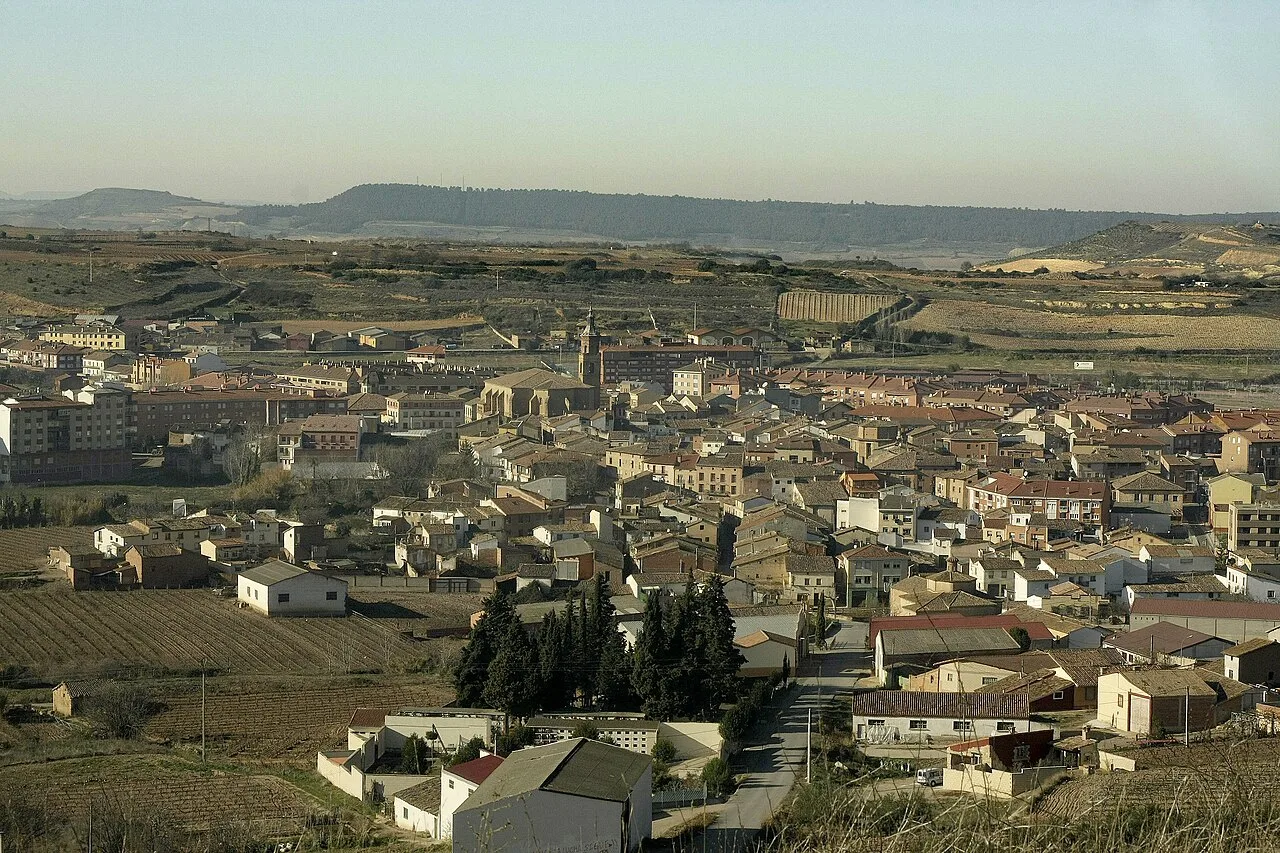 Landscape with houses and rural fields in Fuenmayor, La Rioja.