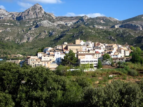Vista general d'Alfara de Carles