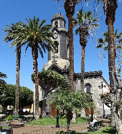 Iglesia con torre y palmeras en Puerto de la Cruz.