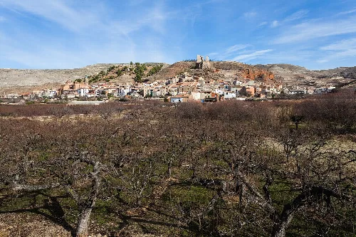 Landscape of Villafeliche with hill, houses, and vineyards.