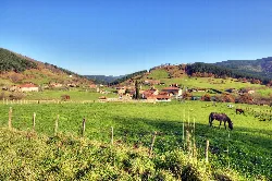Green meadows with horses and hills in the background in Axpe, Atxondo.