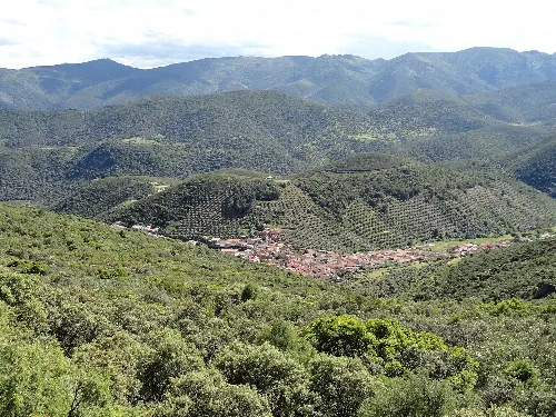 Vista de Solana del Pino y Sierra Madrona en el fondo.
