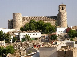 View of the castle with walls and towers in a town with houses and trees.