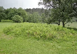 Stone tumulus in a green field with trees and grass.