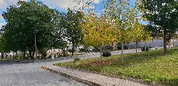 Bäume und Wege im Park von Láchar in Granada, Spanien.