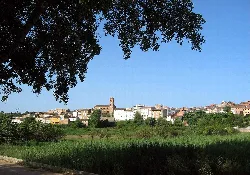 Vista panorámica de Torrebaja con cultivos y casas en el fondo.