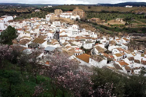 Panoramablick auf weiße Häuser in Setenil de las Bodegas mit blühenden Bäumen im Vordergrund.