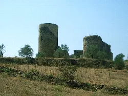 Ruins of an old tower in a field with small trees.