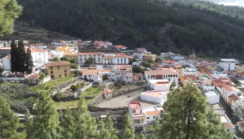 Aerial view of Vilaflor with white houses and narrow streets surrounded by trees.