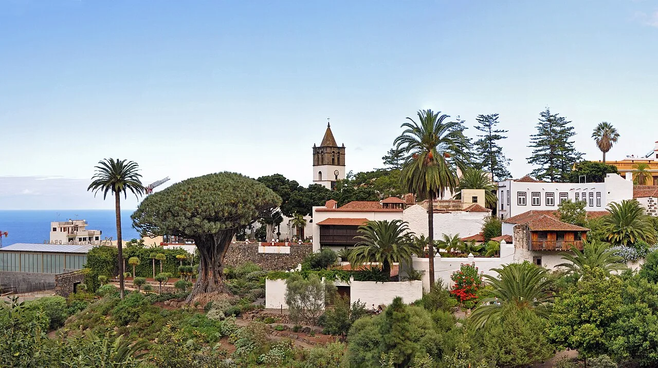 Panoramic view of Icod de los Vinos with trees and white houses.
