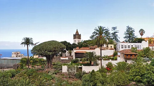 Panorama de Icod de los Vinos con árboles y casas blancas.
