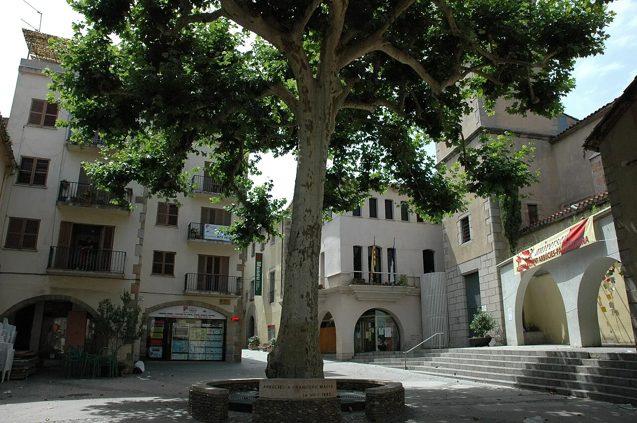 This is a a photo of a protected or outstanding tree in Catalonia, Spain, with id: