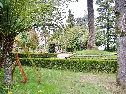 Gardens with trees and grass in Pontedeume.