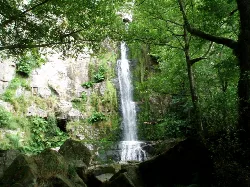 Waterfall in a wooded setting in Villayón, Asturias.