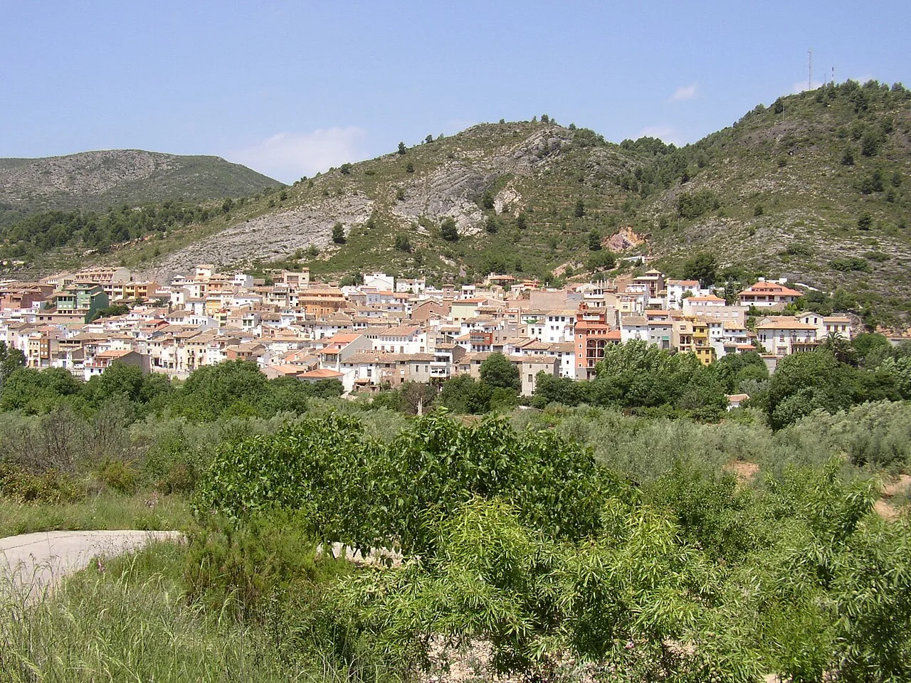 Vista del pueblo con casas y montañas al fondo.