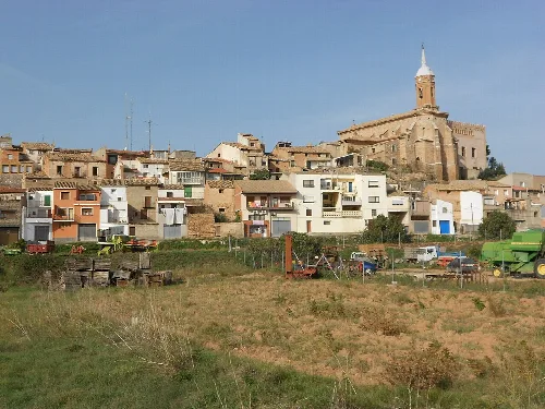 Houses and a church on a hill in Calatorao.